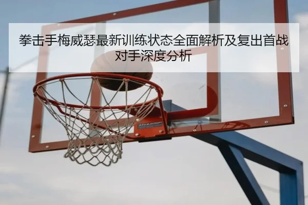 拳击手梅威瑟最新训练状态全面解析及复出首战对手深度分析（LEYU SPORTS）